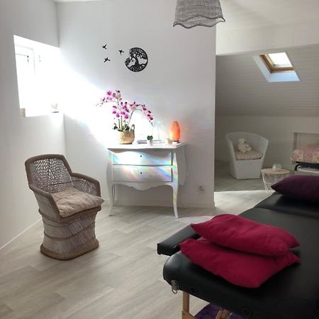 Chalet des Palmiers Bagnères-de-Bigorre Extérieur photo